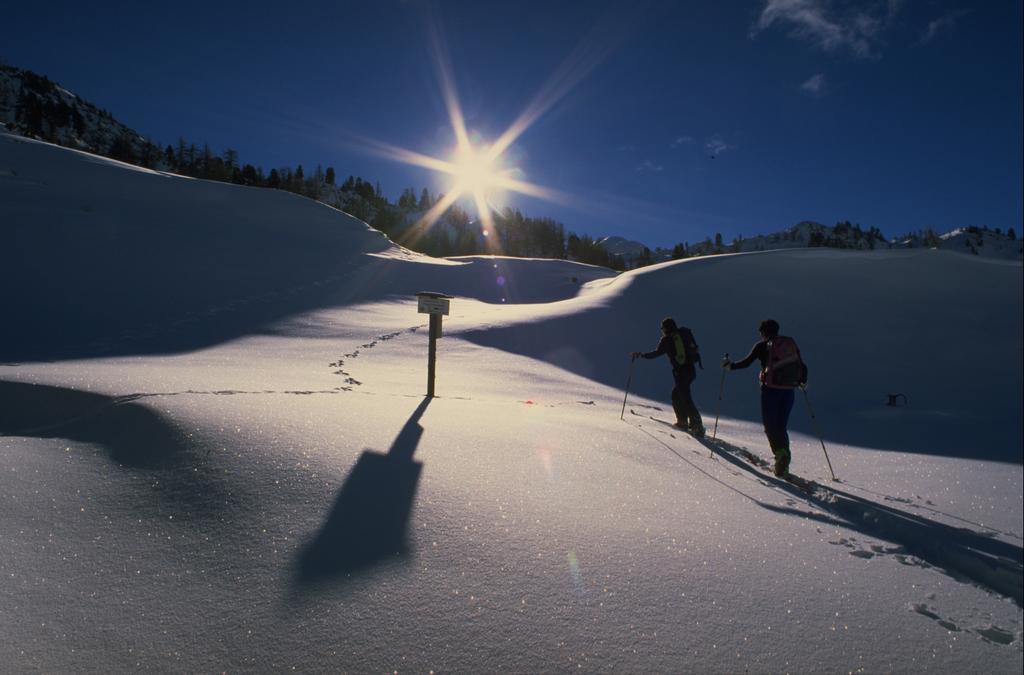 Edelweiss Apartments Schladming Bagian luar foto